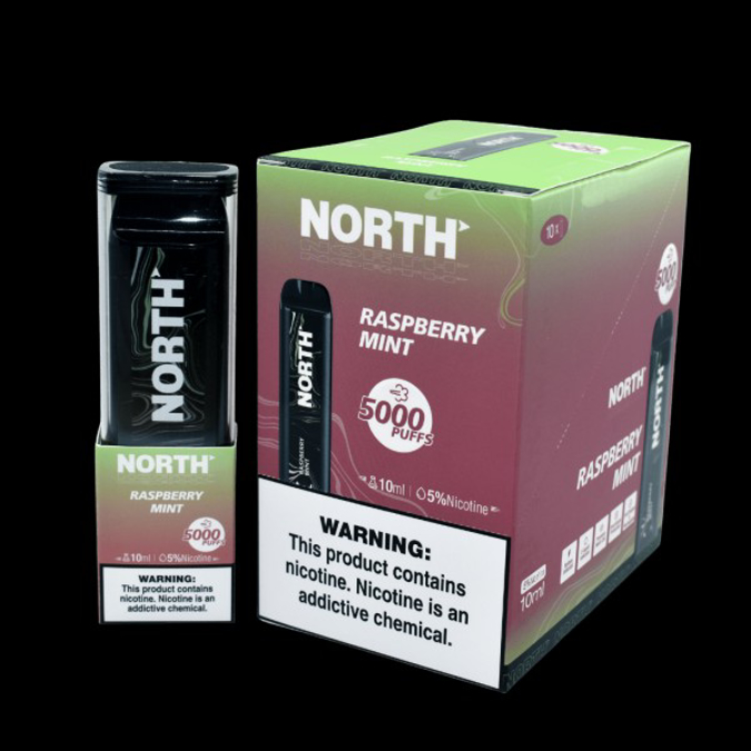 Picture of NORTH 5K PUFFS RASPBERRY MINT