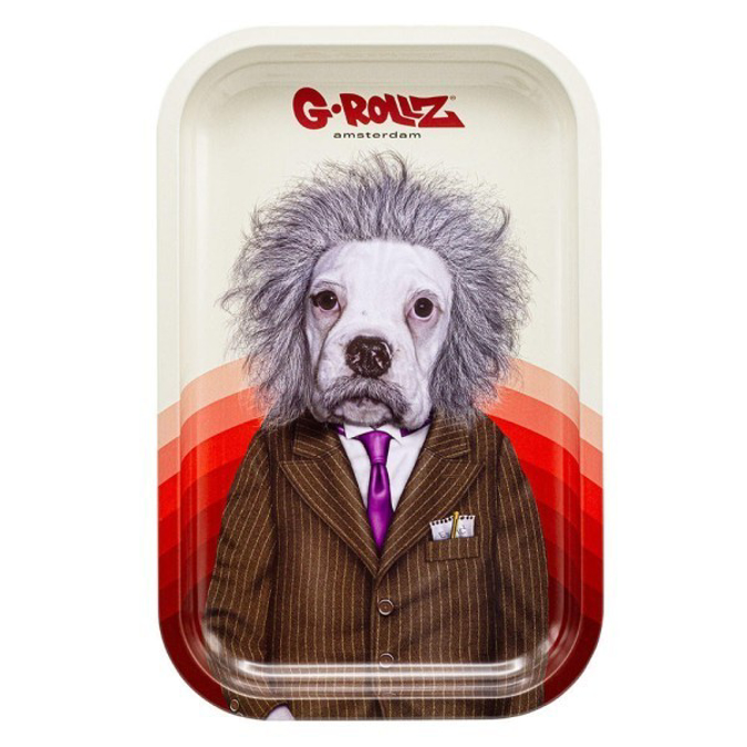 Picture of G ROLLZ MEDIUM TRAY BRAIN